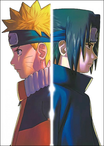 Qui a gagné le combat Naruto vs Sasuke ? (Arc de récupération de Sasuke dans les Naruto, pas les Shippuden)