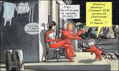 Quelques années plus tard, Tintin se retrouve au casting avec Yoko Tsuno* ( !) alors que Milou compose le rôle d'un...