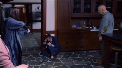 Un film de Susanne Bier avec Sandra Bullock, Trevante Rhodes, John Malkovich, Jacki Weaver et Sarah Paulson dans lequel il ne faut surtout pas regarder dehors. Quel est ce film ?