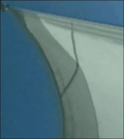 Que signifie le terme : "Fasseyer" ?