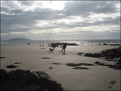 Que signifie le "fetch" ?