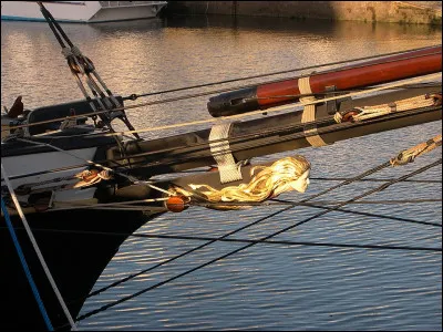 Que signifie l'expression : "Figure de proue" ?