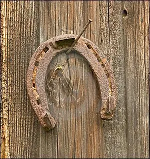 On est oblig de me ferrer