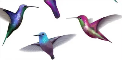 Quel est le plus grand oiseau volant, vivant actuellement ?