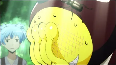 Qui s'y connait en insectes dans la classe ?