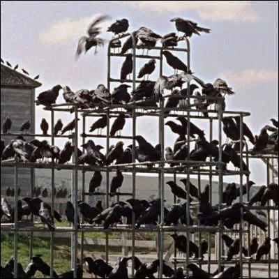 Quelle &eacute;crivaine a &eacute;crit le roman "Rebecca" et la nouvelle "Les Oiseaux", tous deux adapt&eacute;s au cin&eacute;ma ?