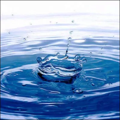 Quel lac constitue la plus grande r&eacute;serve mondiale d�eau douce ?