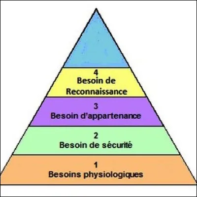 Quel besoin vital est amplifi&eacute; &agrave; l�exc&egrave;s chez les personnes souffrant de potomanie ?