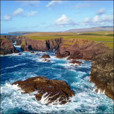 Quel &eacute;quid&eacute; peut &ecirc;tre shetland ou dartmoor ?
