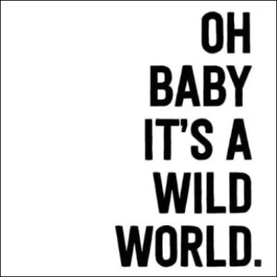 Quel chanteur, auteur de la chanson "Wild World", a pris le nom Yusuf Islam apr&egrave;s &ecirc;tre devenu musulman ?