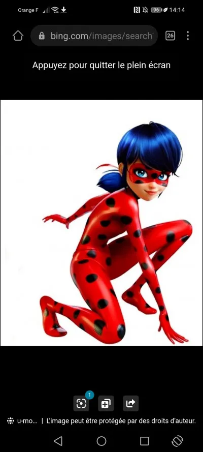 Qui est la nouvelle gardienne des Miraculous ?