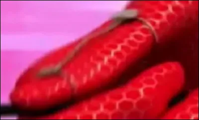 Qui est le porteur du Miraculous du coq ?