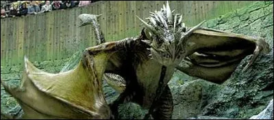 Qui bloque le sortilège lancé par Albus à la première étape ?