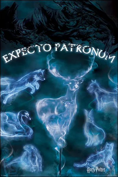 Quel est le Patronus de Rogue ?