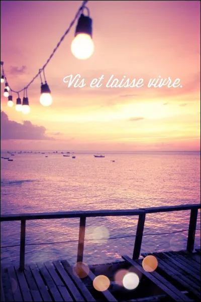 Tu ne pourrais pas vivre sans :