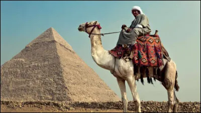 Turban des Bédouins :