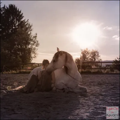Pour finir, depuis combien de temps l'homme a-t-il domestiqu&eacute; le cheval ?