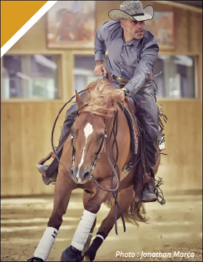 Lequel de ces exercices &eacute;questres est originaire d�Am&eacute;rique ?