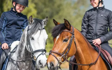 Quiz Galop 1