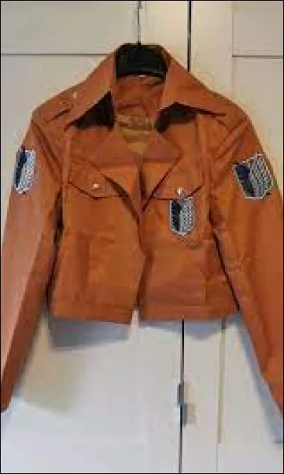 Réfléchis bien et trouve dans quel manga tu as vu ce blouson.