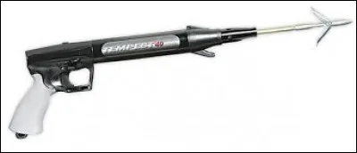 Qui est la premi&egrave;re femme &agrave; avoir p&eacute;ch&eacute; au harpon ?