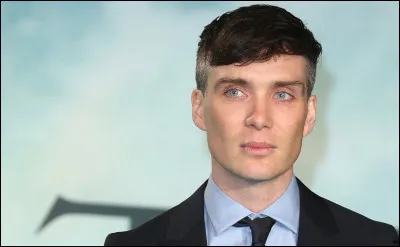 Cillian Murphy a joué dans ces deux films et cette série. Quelle est la série ?