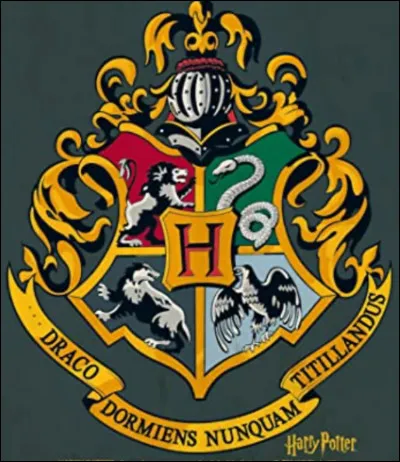Dans quelle maison ''Harry Potter'' es-tu ?