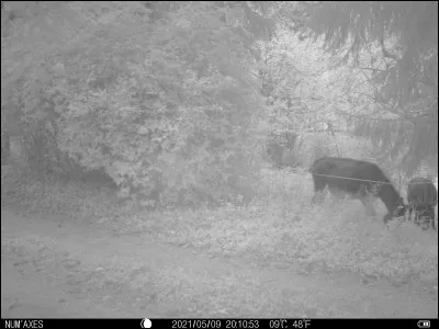 Balustrade légère, pleine ou à claire-voie, formant chacun des côtés d'une charrette ou d'un camion !