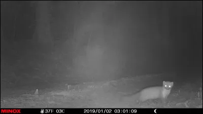 Colonne vertébrale ou épine dorsale !