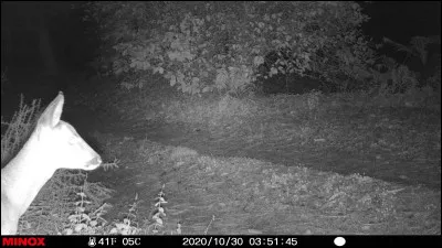 Dôme en matière plastique ou tissu gonflable protégeant une antenne radar !