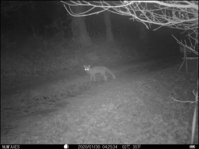 Petit fourneau portatif !