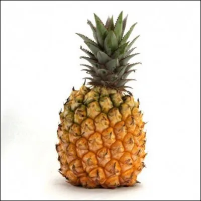 Le Queen Mary est une variété de tout petit ananas.