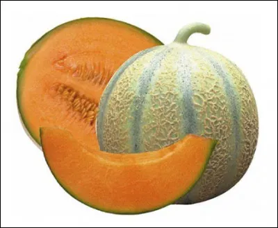 Le cantaloup charentais est une variété de melon.