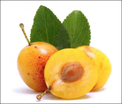 La mirabelle est une variété de prune.
