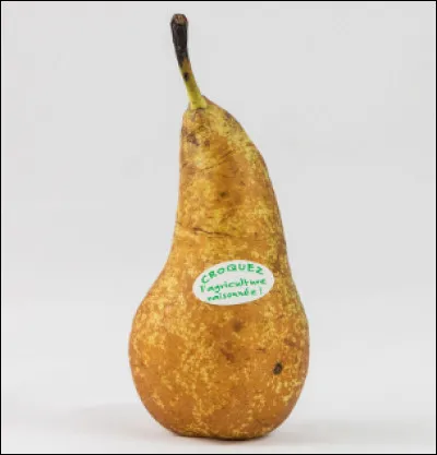 La conférence est une variété de poire.