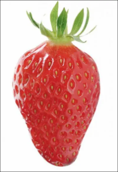 La griotte est une variété de fraise.