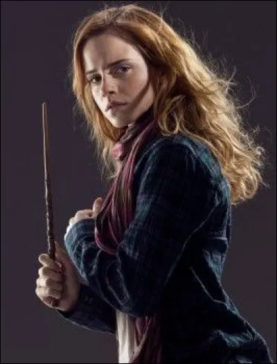 De quel bois la baguette de Hermione est-elle constituée ?
