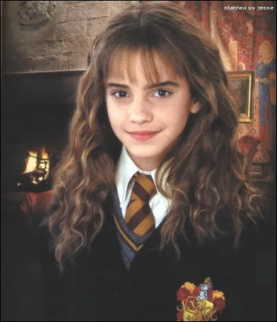 Quel professeur Hermione déteste-t-elle le plus ?