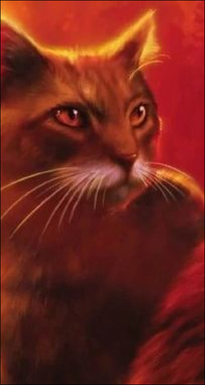 Qui a été son mentor ?