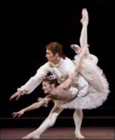 Quel est le porté sur la photo ?