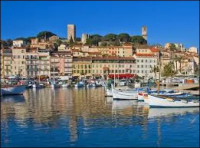 Déroulez-moi le tapis roule pour cette réponse !