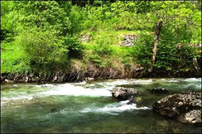 De quel fleuve l'Ariège est-elle l'affluent ?