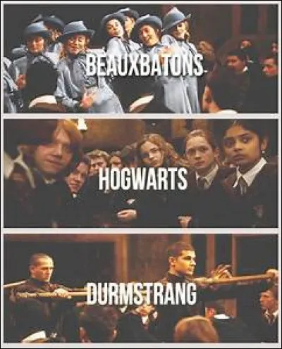Les trois écoles qui participent au Tournoi des 3 Sorciers sont Durmstrang, Poudlard et Beauxbâtons. Mais de quelles contrées sont-elles originaires ?