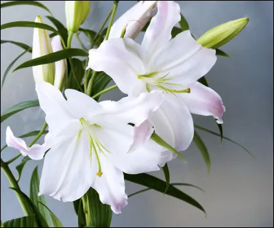 Au-dessus des eaux de quel fjord se situe le site géologique de Kjerag, où un gros rocher est coincé entre deux falaises ?