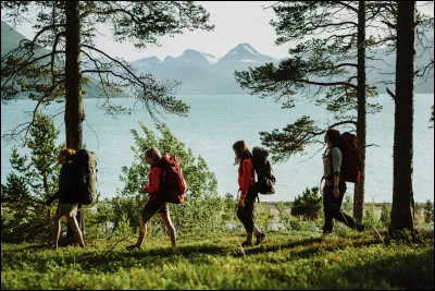 Qu'est-ce que "l'allemannsretten", une loi norvégienne ?
