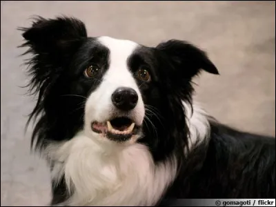 En 2010, quelle sportive norvégienne remporte la 100e médaille d'or olympique d'hiver de l'histoire de son pays ?