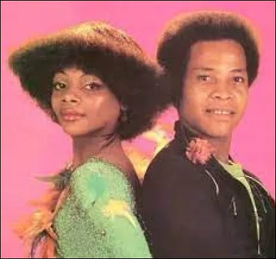 Ottawan est-il un groupe de disco allemand ?