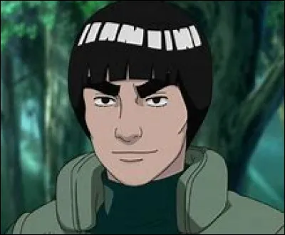 Qui est Gaï sensei ?