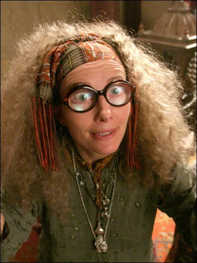 Qui est l'actrice du professeur Trelawney ?