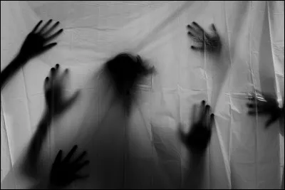 Quelle est sa pire phobie ?